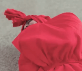 N2509266 Apa alasannya ya bisa part 2