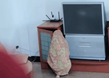 N1710324 Anak durhaka part 2