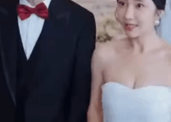 N2910177 Dunia Tuan Direktur Antara Karier & Cinta part 2