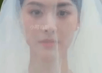 N3110184 Langkah langkah di Koridor Perusahaan dan Hati part 2