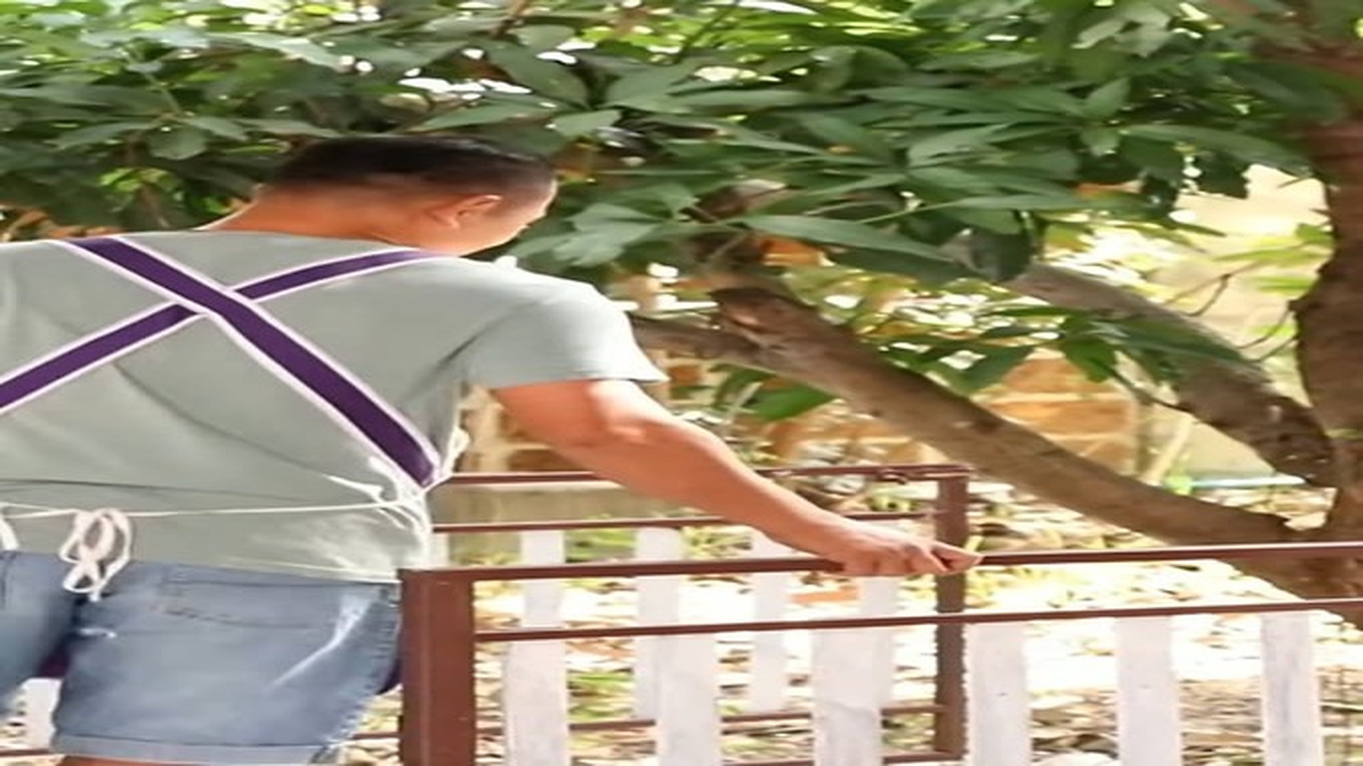 Full Video : 🎬 👇 🔗 N1610320 ใครค อคนสำค ญ | Vua Bánh Mìi